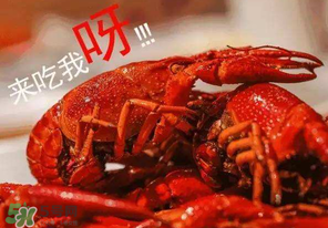 煮熟的小龍蝦隔夜能吃嗎？煮熟的小龍蝦能放多久？