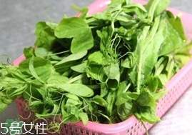 豌豆苗怎么做好吃？豌豆苗的做法