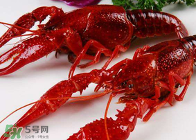 龍蝦發(fā)苦怎么回事？龍蝦發(fā)苦能吃嗎？