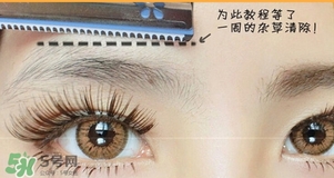 貝印修眉刀紅色和藍色那個好？貝印修眉刀紅色和藍色區(qū)別