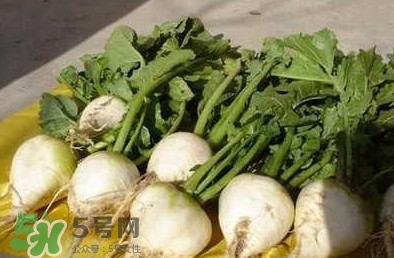 芥菜絲怎么腌制？芥菜絲的腌制方法大全