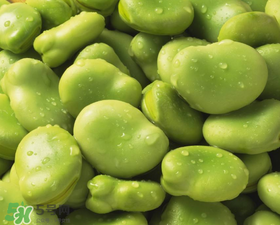 蠶豆發(fā)芽能吃嗎？蠶豆長(zhǎng)芽了還能吃嗎？