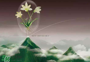 九毒日是哪幾天？2017年九毒日是哪幾天？