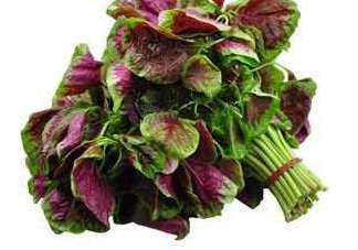 野莧菜能吃嗎？野莧菜圖片