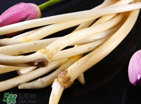 藕帶什么時候有？藕帶什么時候上市