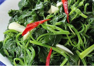 灰灰菜有毒嗎？灰灰菜有沒有毒