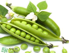 豌豆隔夜能吃嗎？豌豆可以隔夜吃嗎？