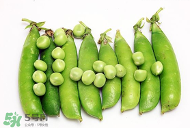 豌豆隔夜能吃嗎？豌豆可以隔夜吃嗎？