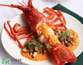 龍蝦怎么養(yǎng)不會死？大龍蝦怎么養(yǎng)不會死？