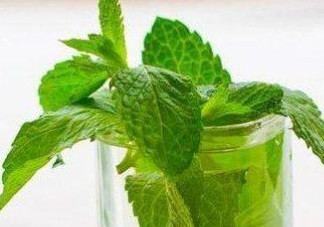 薄荷葉哪里有賣(mài)？哪里有薄荷葉賣(mài)