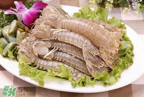 皮皮蝦不能和什么一起吃？皮皮蝦和什么不能在一起吃？