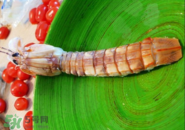 皮皮蝦哪些部位不能吃？皮皮蝦什么部位不能吃？