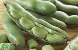 蠶豆要焯水嗎？炒蠶豆要焯水嗎？