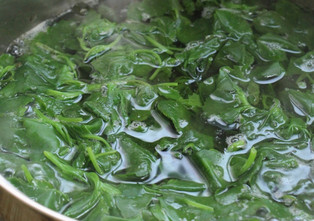 灰灰菜不能和什么一起吃？灰灰菜不能和什么同吃