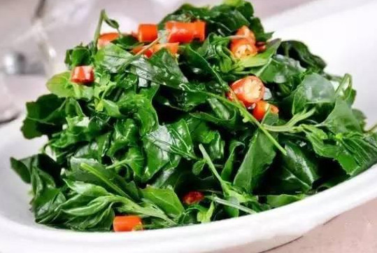 灰灰菜有毒嗎？灰灰菜有沒(méi)有毒