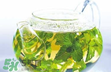 薄荷泡水喝有什么好處？薄荷葉泡水的功效