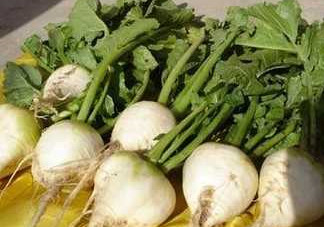 芥菜疙瘩孕婦能吃嗎？孕婦可以吃芥菜疙瘩嗎