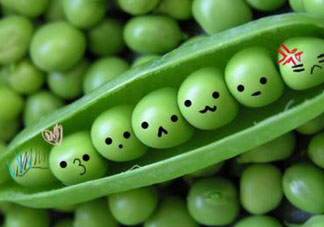 豌豆隔夜能吃嗎？豌豆可以隔夜吃嗎？