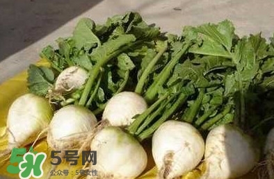 芥菜疙瘩孕婦能吃嗎？孕婦可以吃芥菜疙瘩嗎