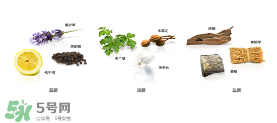 郎朗香水是什么牌子？郎朗香水是什么檔次？