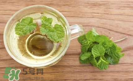 薄荷葉能生吃嗎？薄荷葉可以生吃嗎