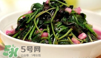 莧菜怎么吃？莧菜怎么炒