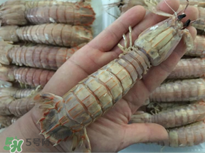 蝦爬子是蒸還是煮？蝦爬子蒸好還是煮好？