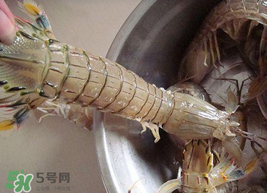 皮皮蝦可以放冰箱嗎？皮皮蝦能放冰箱保存嗎？