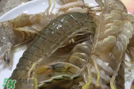 皮皮蝦可以放冰箱嗎？皮皮蝦能放冰箱保存嗎？