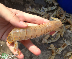 ?皮皮蝦發(fā)綠能吃嗎？?皮皮蝦變綠了還能吃嗎？