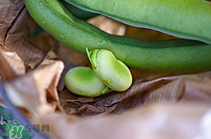 蠶豆可以放冰箱嗎？新鮮蠶豆可以放冰箱嗎？