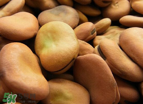 干蠶豆怎么炒才能開裂？干蠶豆怎么炒才好吃？