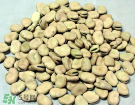 蠶豆長(zhǎng)蟲還能吃嗎？蠶豆怎么保存不長(zhǎng)蟲？