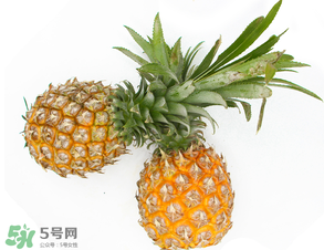 皮皮蝦和菠蘿能一起吃嗎？吃完皮皮蝦能吃菠蘿嗎？