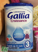 gallia佳利雅奶粉怎么沖？gallia佳利雅奶粉沖調(diào)方法？