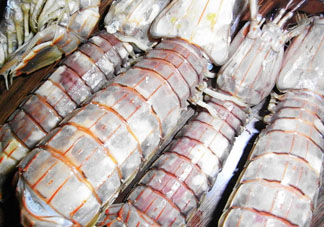 皮皮蝦可以放冰箱嗎？皮皮蝦能放冰箱保存嗎？