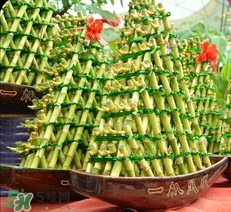 富貴竹有幾個品種？富貴竹有種子嗎？