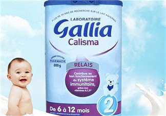 gallia佳利雅奶粉怎么樣？gallia佳利雅奶粉好嗎？