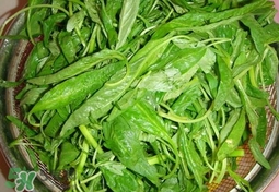 莧菜怎么吃？莧菜怎么炒