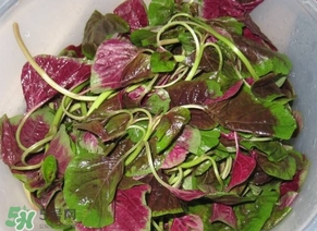 莧菜怎么洗？莧菜怎么擇