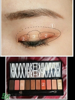 hold live有備案嗎？hold live好用嗎