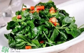 胃酸過多吃灰灰菜有好處嗎？胃酸過多能吃灰灰菜嗎