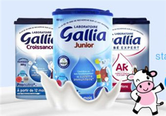 gallia佳利雅奶粉怎么沖？gallia佳利雅奶粉沖調(diào)方法？