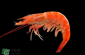 基圍蝦不能和什么一起吃？基圍蝦和什么不能一起吃？