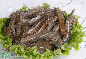 基圍蝦不能和什么一起吃？基圍蝦和什么不能一起吃？