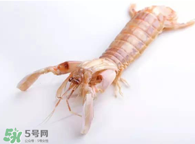 皮皮蝦什么時(shí)候有籽？皮皮蝦幾月份有籽？