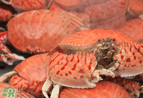 皮皮蝦和螃蟹能一起蒸嗎？皮皮蝦和螃蟹要蒸多久？