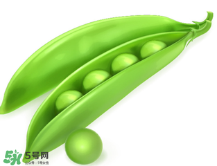 荷蘭豆能生吃嗎？荷蘭豆生的可以吃嗎？
