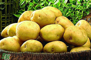 谷雨能種土豆嗎？谷雨前后能種土豆嗎？