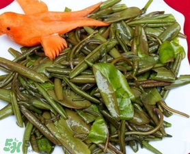 莼菜是什么菜？莼菜是荷葉嗎？